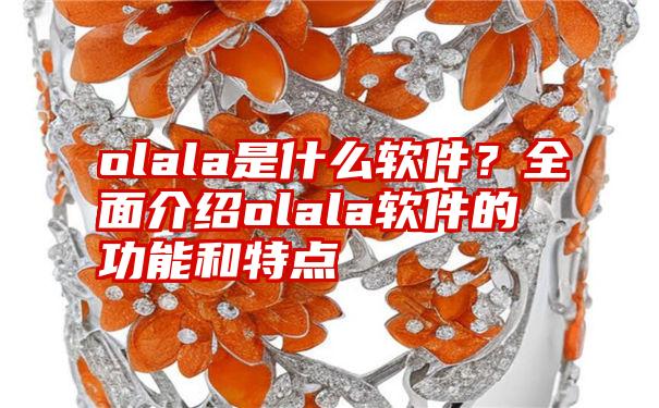 olala是什么软件？全面介绍olala软件的功能和特点