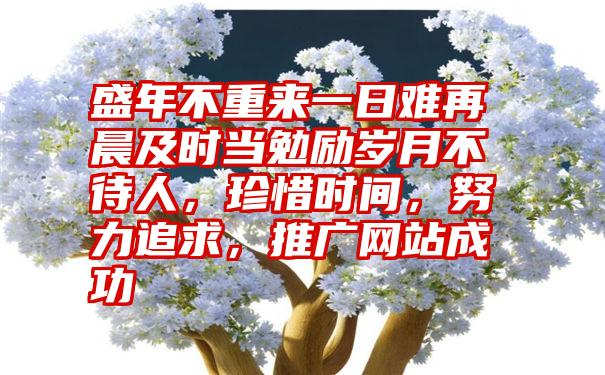 盛年不重来一日难再晨及时当勉励岁月不待人，珍惜时间，努力追求，推广网站成功