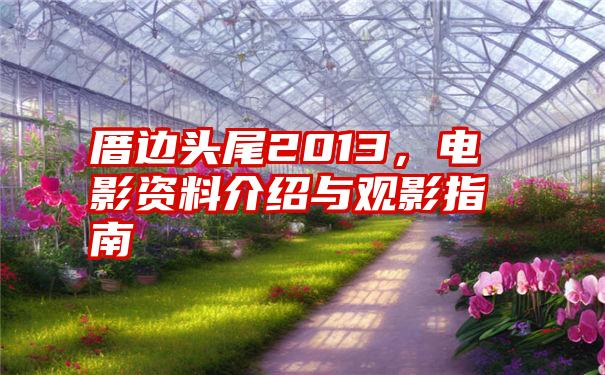 厝边头尾2013,电影资料介绍与观影指南