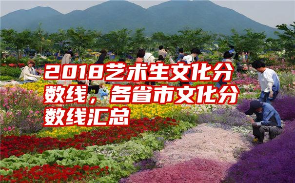 2018艺术生文化分数线，各省市文化分数线汇总