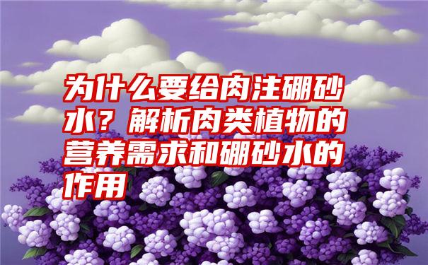 为什么要给肉注硼砂水？解析肉类植物的营养需求和硼砂水的作用