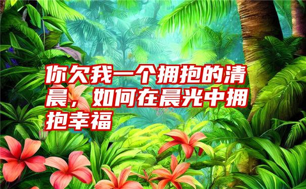 你欠我一个拥抱的清晨,如何在晨光中拥抱幸福