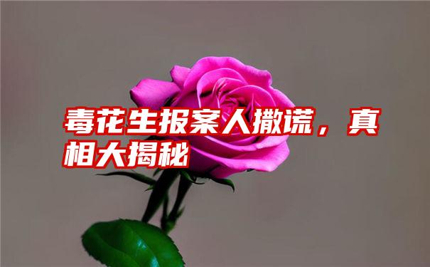 毒花生报案人撒谎，真相大揭秘