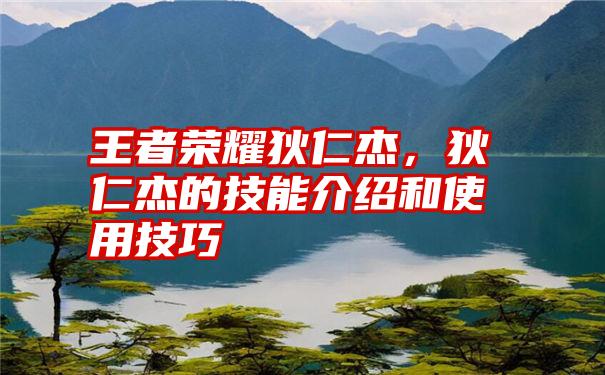 王者荣耀狄仁杰,狄仁杰的技能介绍和使用技巧