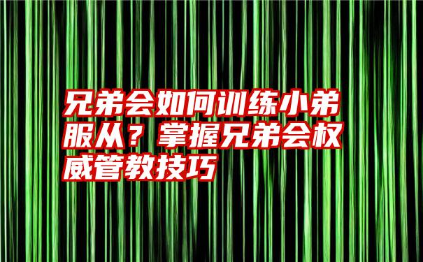 兄弟会如何训练小弟服从？掌握兄弟会权威管教技巧