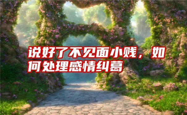 说好了不见面小贱，如何处理感情纠葛