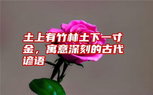 土上有竹林土下一寸金，寓意深刻的古代谚语