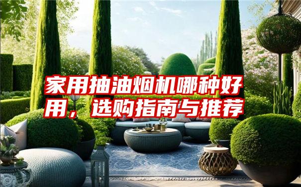 家用抽油烟机哪种好用,选购指南与推荐