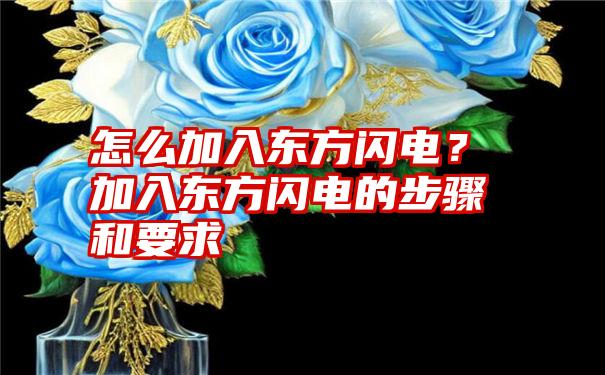 怎么加入东方闪电？加入东方闪电的步骤和要求