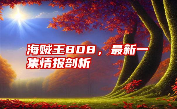 海贼王808，最新一集情报剖析