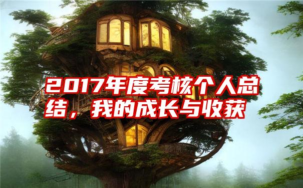 2017年度考核个人总结，我的成长与收获