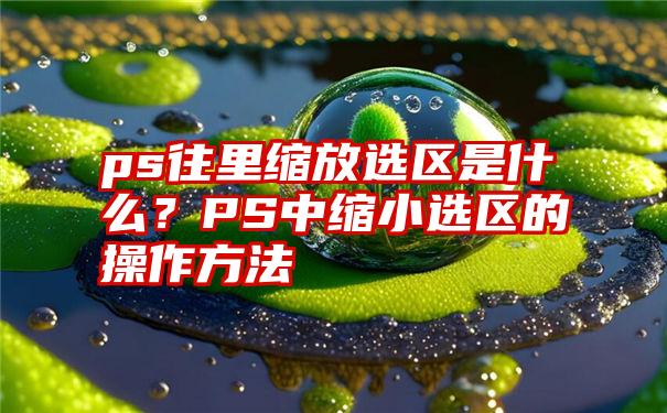 ps往里缩放选区是什么？PS中缩小选区的操作方法