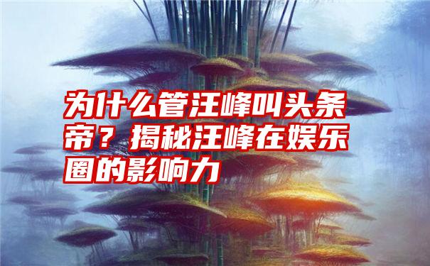 为什么管汪峰叫头条帝？揭秘汪峰在娱乐圈的影响力