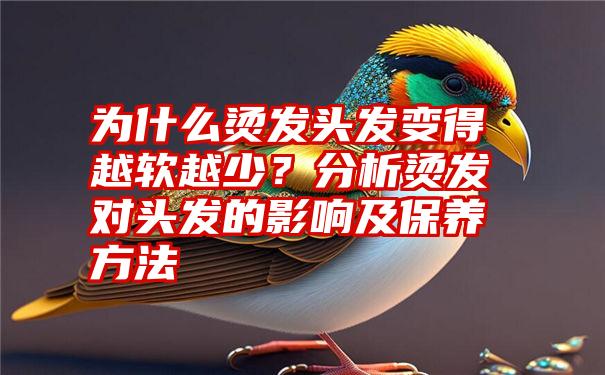 为什么烫发头发变得越软越少？分析烫发对头发的影响及保养方法