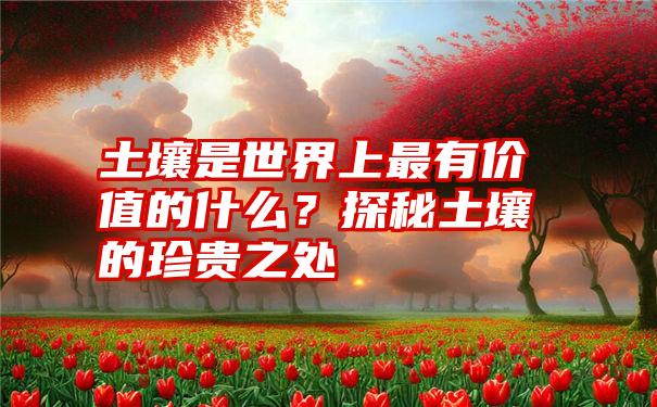 土壤是世界上最有价值的什么？探秘土壤的珍贵之处