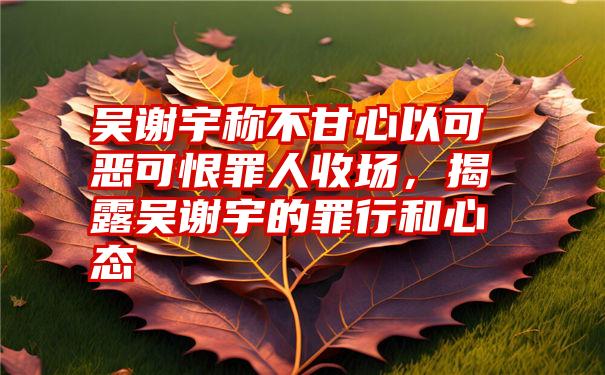 吴谢宇称不甘心以可恶可恨罪人收场，揭露吴谢宇的罪行和心态
