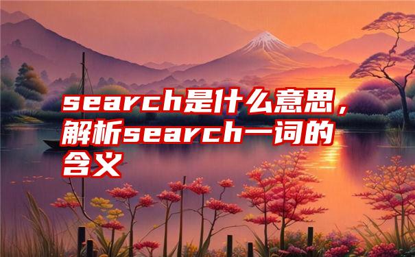 search是什么意思，解析search一词的含义