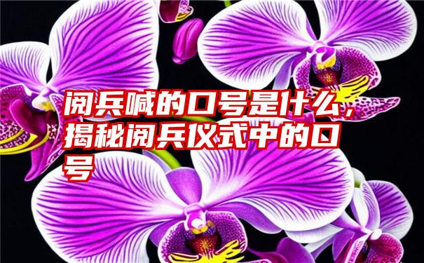 阅兵喊的口号是什么,揭秘阅兵仪式中的口号