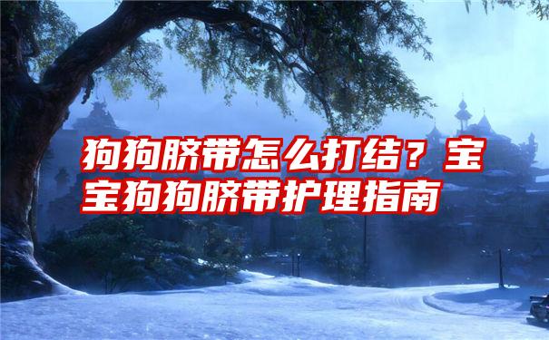 狗狗脐带怎么打结？宝宝狗狗脐带护理指南