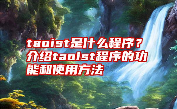 taoist是什么程序？介绍taoist程序的功能和使用方法