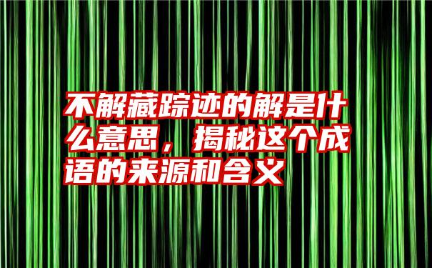 不解藏踪迹的解是什么意思，揭秘这个成语的来源和含义