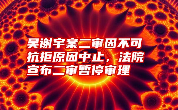 吴谢宇案二审因不可抗拒原因中止，法院宣布二审暂停审理