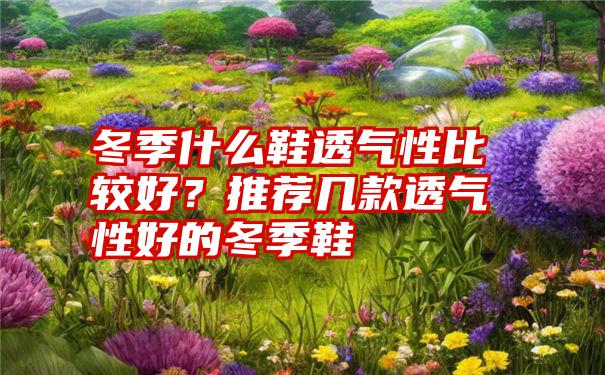 冬季什么鞋透气性比较好？推荐几款透气性好的冬季鞋