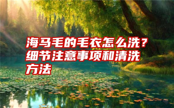 海马毛的毛衣怎么洗？细节注意事项和清洗方法