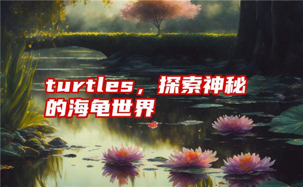 turtles，探索神秘的海龟世界