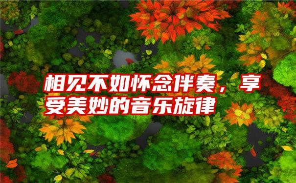 相见不如怀念伴奏,享受美妙的音乐旋律