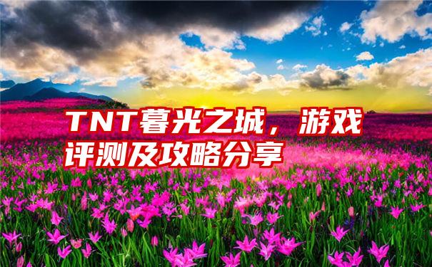 TNT暮光之城，游戏评测及攻略分享