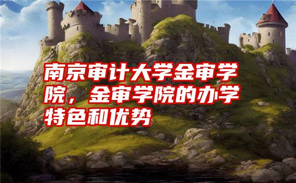 南京审计大学金审学院,金审学院的办学特色和优势