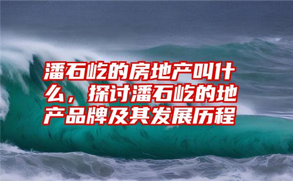 潘石屹的房地产叫什么，探讨潘石屹的地产品牌及其发展历程