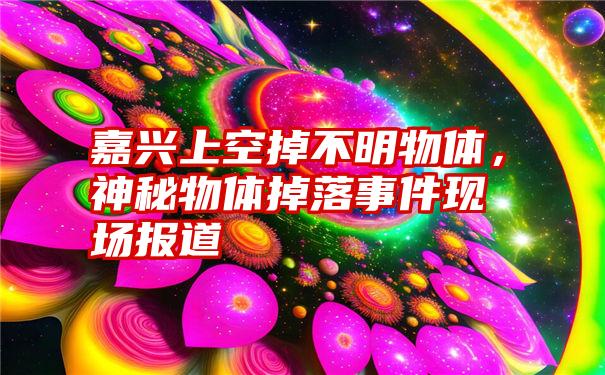 嘉兴上空掉不明物体，神秘物体掉落事件现场报道