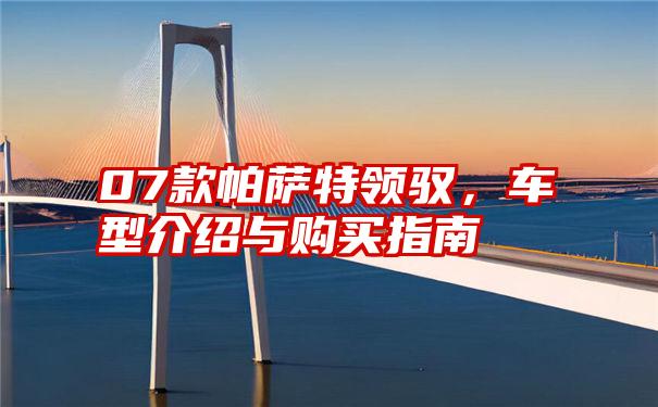 07款帕萨特领驭,车型介绍与购买指南