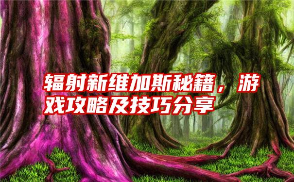 辐射新维加斯秘籍，游戏攻略及技巧分享