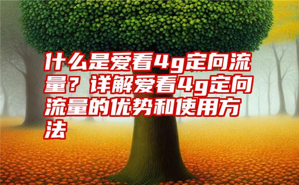 什么是爱看4g定向流量？详解爱看4g定向流量的优势和使用方法