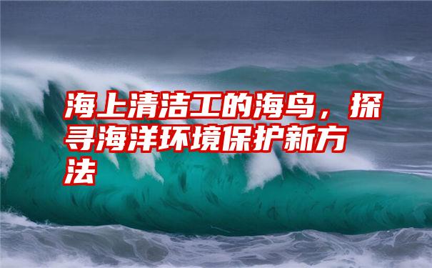 海上清洁工的海鸟，探寻海洋环境保护新方法