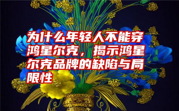 为什么年轻人不能穿鸿星尔克，揭示鸿星尔克品牌的缺陷与局限性