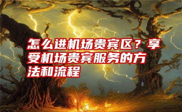 怎么进机场贵宾区？享受机场贵宾服务的方法和流程