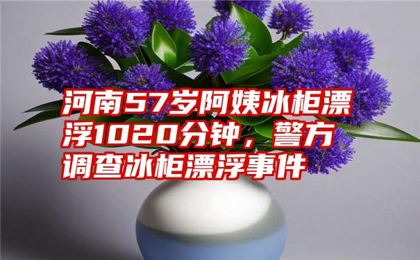 河南57岁阿姨冰柜漂浮1020分钟，警方调查冰柜漂浮事件