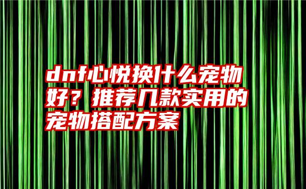 dnf心悦换什么宠物好？推荐几款实用的宠物搭配方案