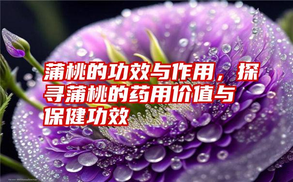 蒲桃的功效与作用，探寻蒲桃的药用价值与保健功效