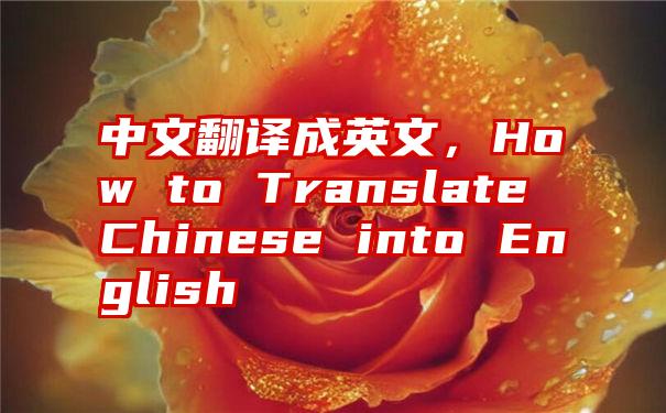 中文翻译成英文，How to Translate Chinese into English