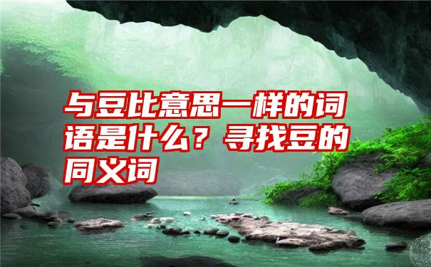 与豆比意思一样的词语是什么？寻找豆的同义词