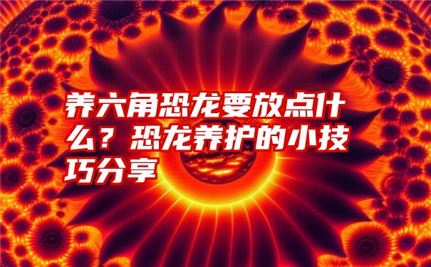 养六角恐龙要放点什么？恐龙养护的小技巧分享