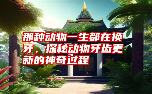 那种动物一生都在换牙,探秘动物牙齿更新的神奇过程