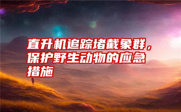直升机追踪堵截象群,保护野生动物的应急措施