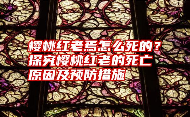 樱桃红老焉怎么死的？探究樱桃红老的死亡原因及预防措施