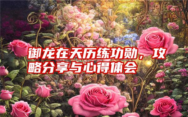 御龙在天历练功勋，攻略分享与心得体会